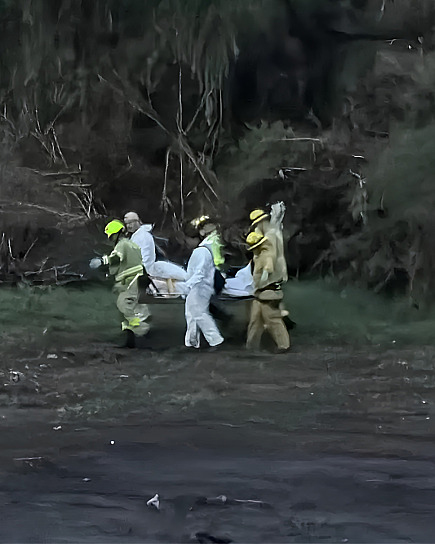 MUERE UN HOMBRE TRAS ATAQUE DE JAURÍA DE PERROS