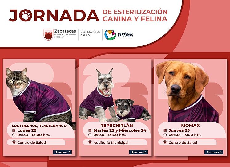 REALIZARÁ SECRETARÍA DE SALUD ESTERILIZACIONES GRATUITAS EN TRES MUNICIPIOS