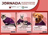 REALIZARÁ SECRETARÍA DE SALUD ESTERILIZACIONES GRATUITAS EN TRES MUNICIPIOS