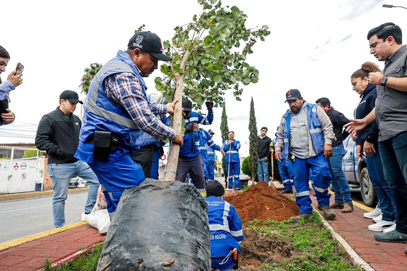 INTERVIENE AYUNTAMIENTO DE FRESNILLO AVENIDA CON PROGRAMA REVIVERDE