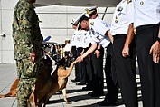 JUBILA SEMAR A NIKO, HUNTER E HIDRA TRAS SERVICIO