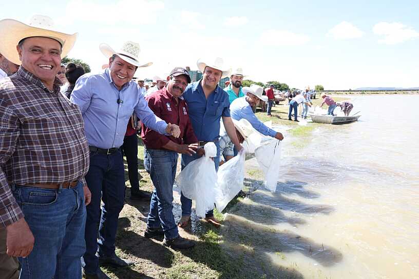 ENTREGA DAVID MONREAL 400 MIL CRÍAS DE TILAPIA EN FRESNILLO