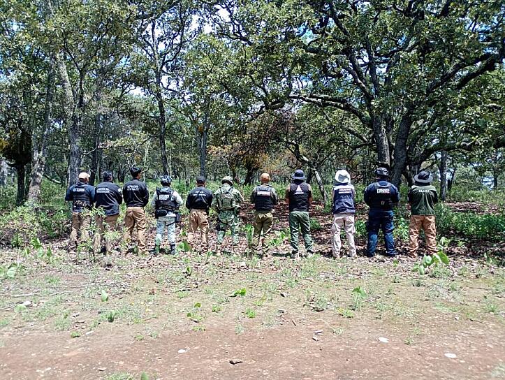 LOCALIZAN AUTORIDADES CUATRO SITIOS CON RESTOS EN EL PLATEADO