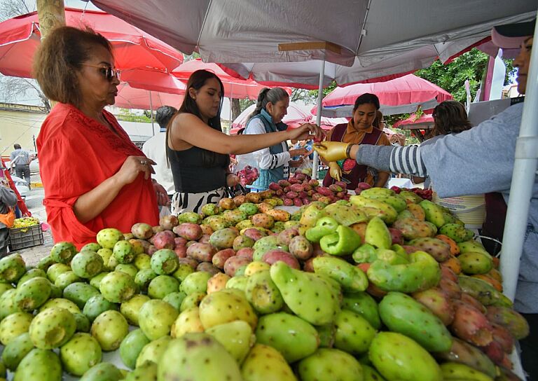 REALIZAN EL PRIMER FESTIVAL DE LA TUNA EN GUADALUPE