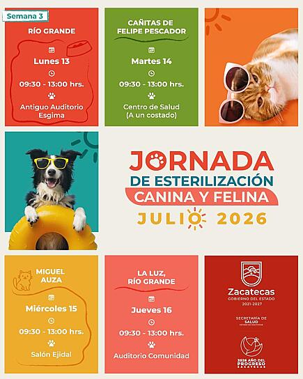 REALIZARÁN JORNADAS GRATUITAS DE ESTERILIZACIÓN DE MASCOTAS EN EL NORTE DE ZACATECAS