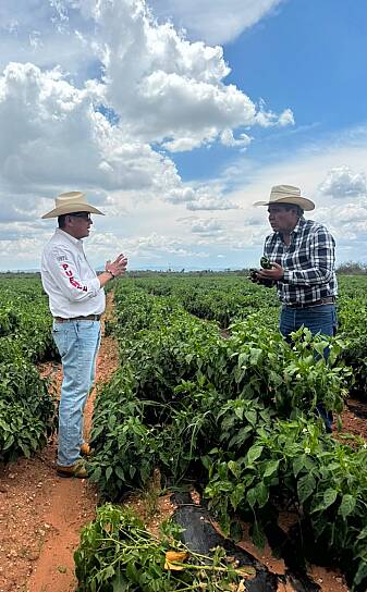 BUSCAN PRODUCTORES AGRÍCOLAS Y GANADEROS DAR VALOR AL CAMPO: CARLOS PUENTE