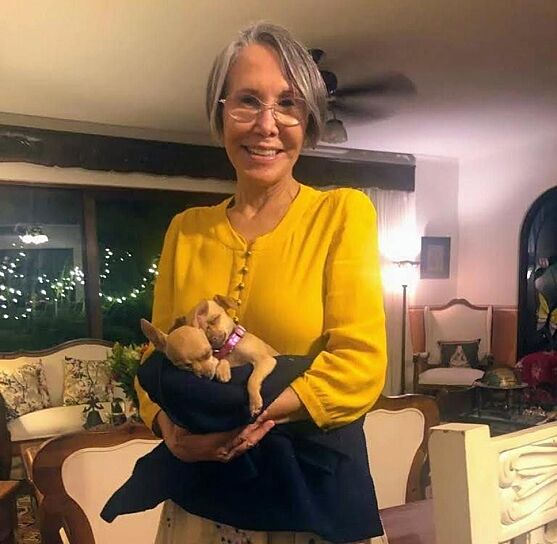 PIDEN USUARIOS DERRIBAR ESTATUA DE FLORINDA MEZA EN JUCHIPILA