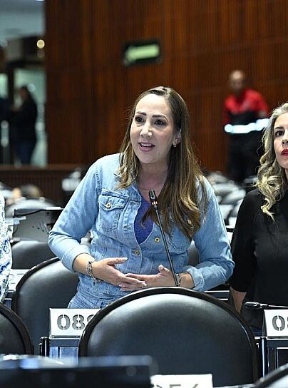 EXIGE NOEMÍ LUNA INVESTIGAR A MARINA DEL PILAR Y SOLICITAR LICENCIA
