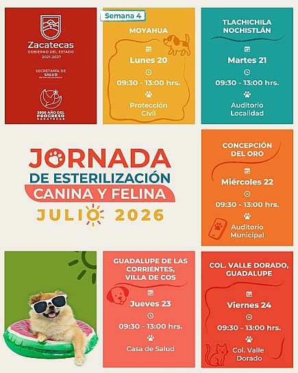 REALIZA SSZ ESTERILIZACIONES GRATUITAS DE MASCOTAS EN CINCO MUNICIPIOS