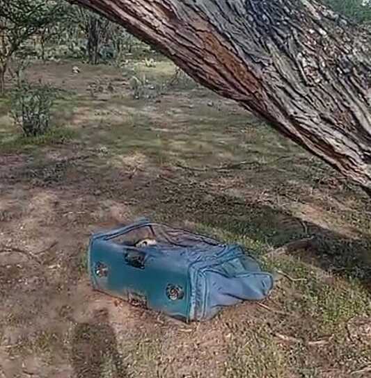 LOCALIZAN RESTOS ÓSEOS DENTRO DE UNA MALETA EN VILLANUEVA  