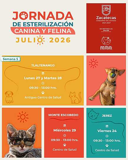 OFRECE SECRETARÍA DE SALUD ESTERILIZACIONES GRATUITAS EN TRES MUNICIPIOS ZACATECANOS