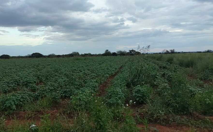 EXHIBE CUAUHTÉMOC ESPINOZA ABANDONO DEL CAMPO Y CUESTIONA APOYOS