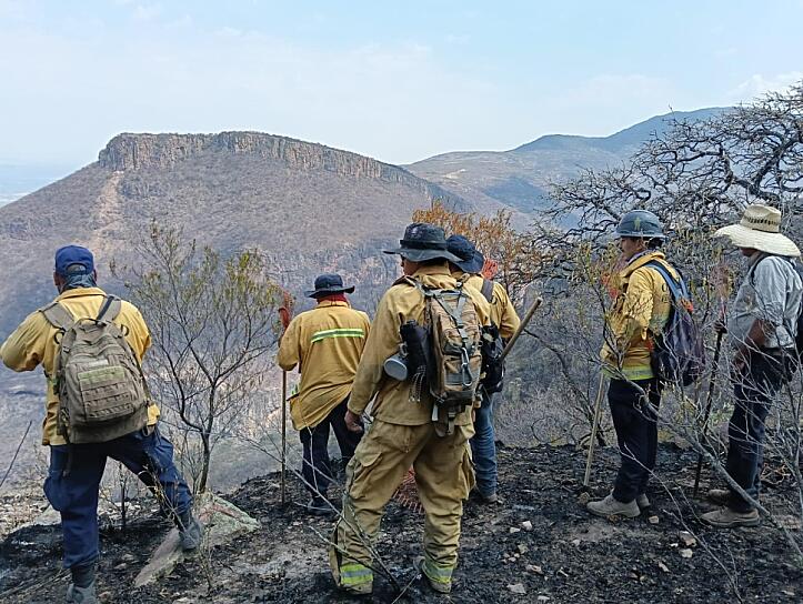 SOFOCAN AL 100% INCENDIO FORESTAL EN TLALTENANGO