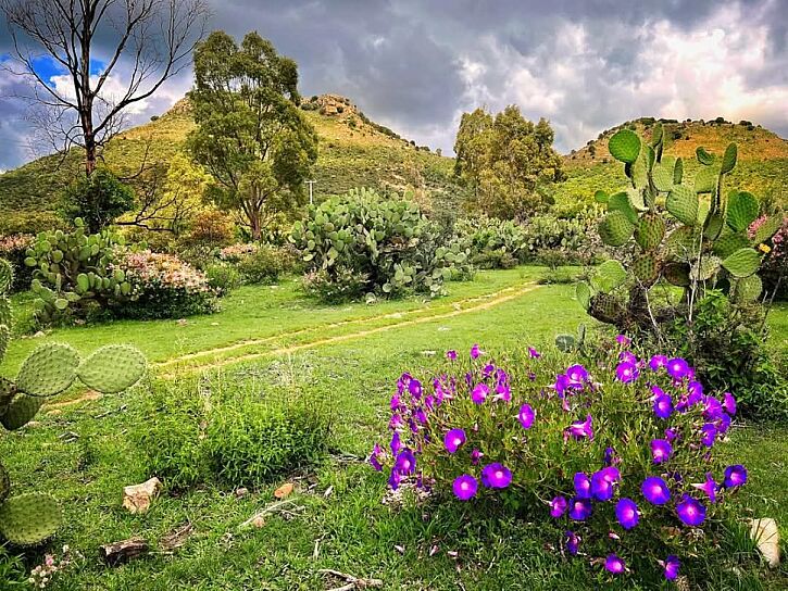 DISFRUTA DE LA NATURALEZA EN SUSTICACÁN