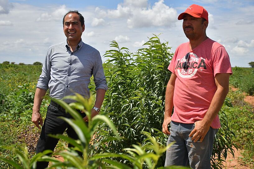 APORTA GUADALUPE A LA AUTOSUFICIENCIA ALIMENTARIA DE MÉXICO