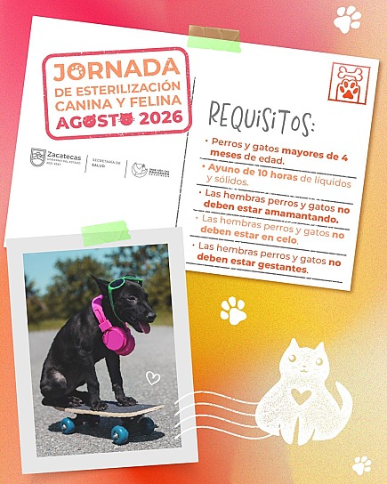 OFRECERÁ SSZ ESTERILIZACIONES GRATUITAS PARA MASCOTAS EN CUATRO MUNICIPIOS