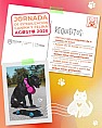 OFRECERÁ SSZ ESTERILIZACIONES GRATUITAS PARA MASCOTAS EN CUATRO MUNICIPIOS