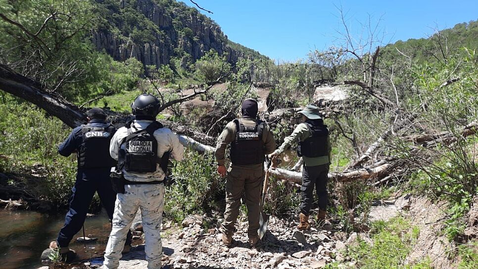 AUMENTAN OPERATIVOS DE BÚSQUEDA EN ZACATECAS