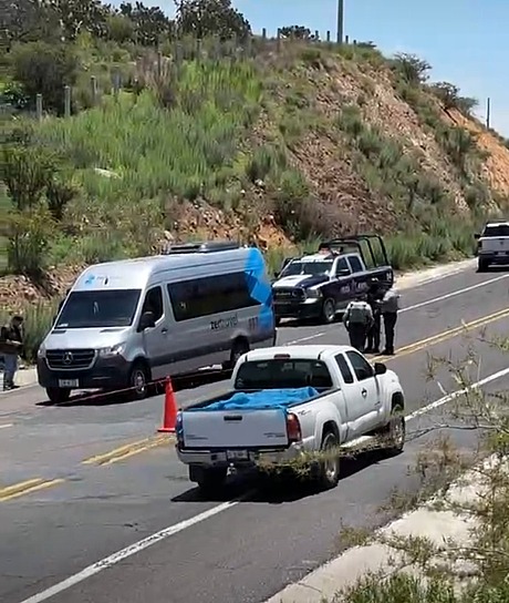 ATACAN A TURISTAS HIDROCÁLIDOS EN SAIN ALTO