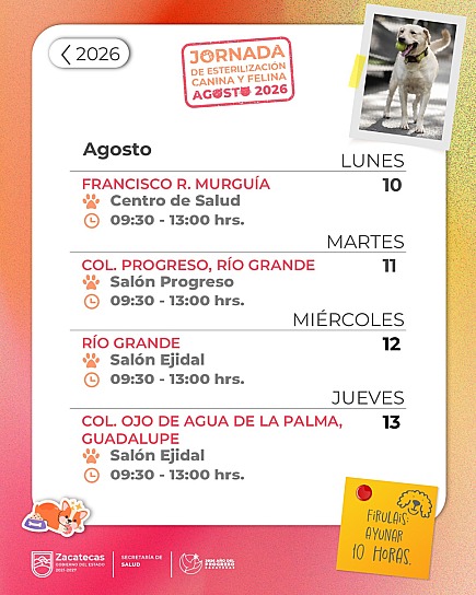 REALIZA SSZ ESTERILIZACIONES GRATUITAS DE MASCOTAS EN TRES MUNICIPIOS