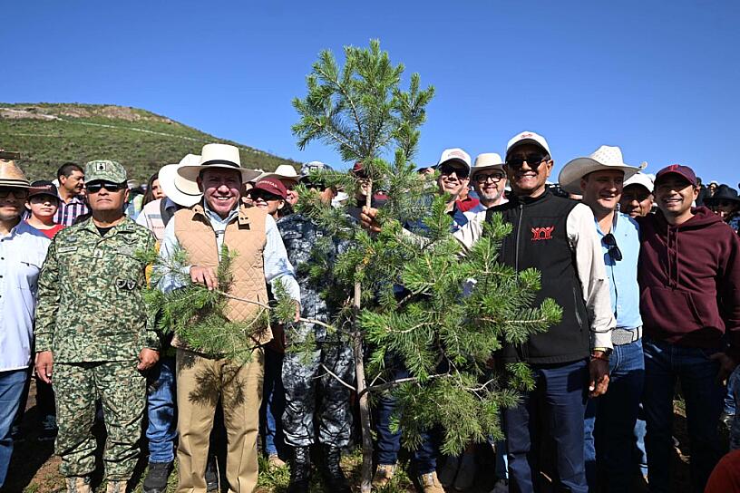 IMPULSA DAVID MONREAL REFORESTACIÓN CON MÁS DE 18 MIL ÁRBOLES