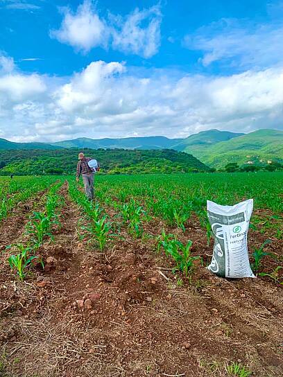 LLAMA SECRETARÍA DE AGRICULTURA A PRODUCTORES A RECOGER SU FERTILIZANTE