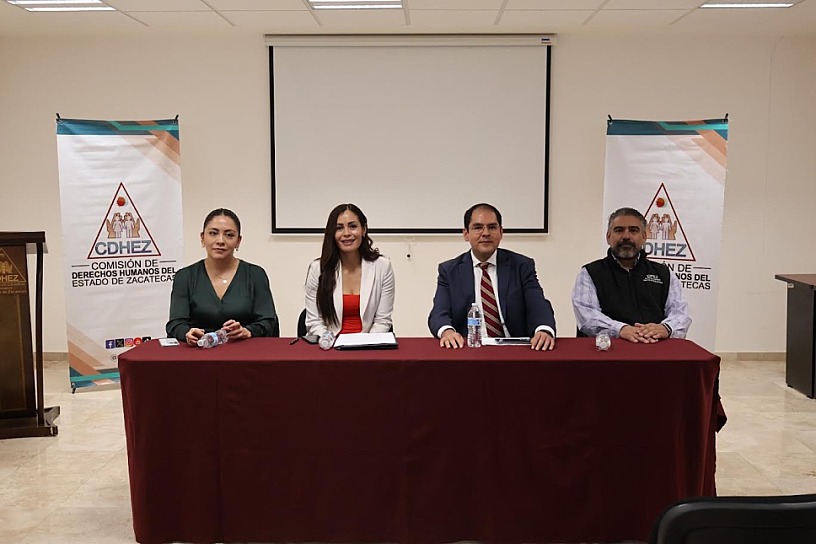 CAPACITAN CDHEZ Y DEFENSORÍA SOBRE EFICACIA HORIZONTAL DE DERECHOS HUMANOS