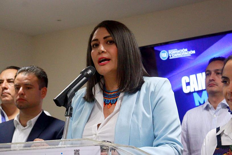APLAUDE PAN INVALIDEZ DE LA CORTE A PLAN B DE LA REFORMA ELECTORAL 
