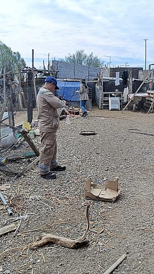 APLICAN LARVICIDA EN MAZAPIL PARA FRENAR REPRODUCCIÓN DE DENGUE