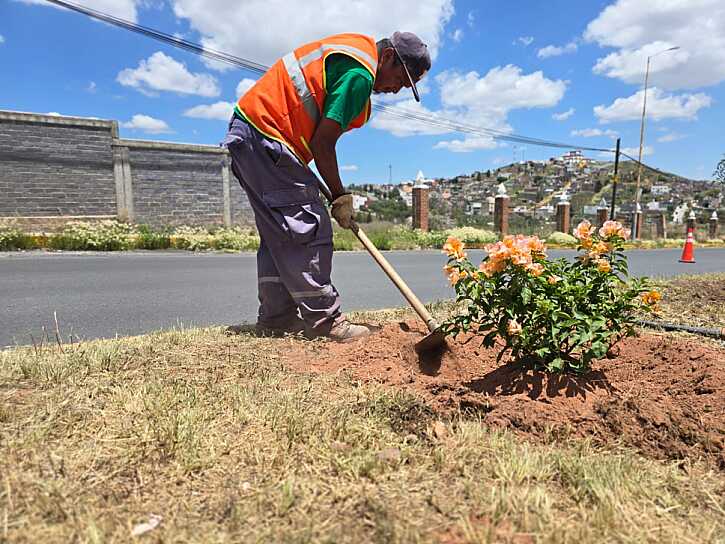 LLEVA PEPE SALDÍVAR PROGRAMA DE REFORESTACIÓN A LA CALZADA SOLIDARIDAD