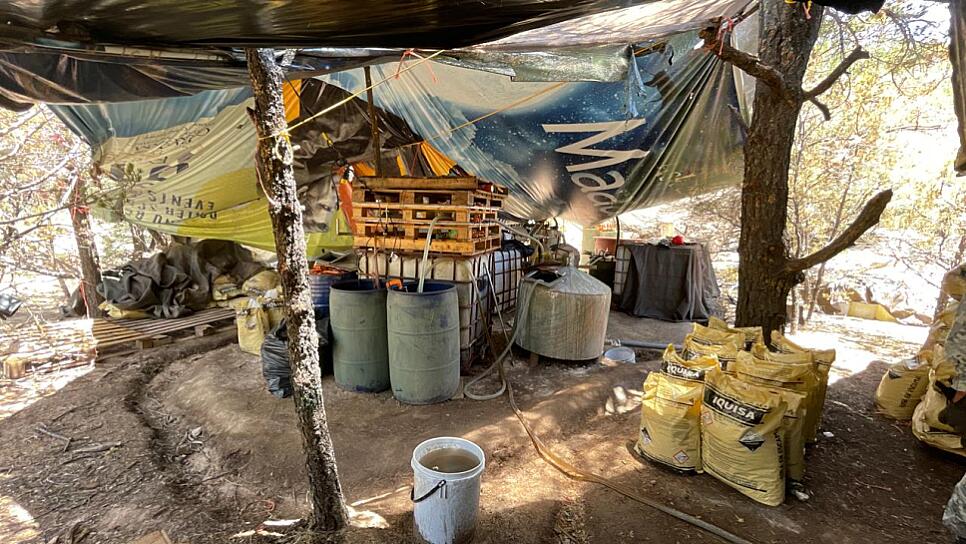 LOCALIZAN FUERZAS DE SEGURIDAD ÁREA PARA ELABORAR DROGAS EN FRESNILLO
