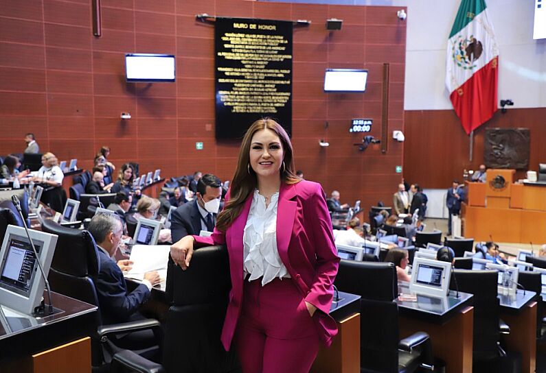 EXIGE GEOVANNA BAÑUELOS NUEVAS RUTAS LEGALES DE ARMAS