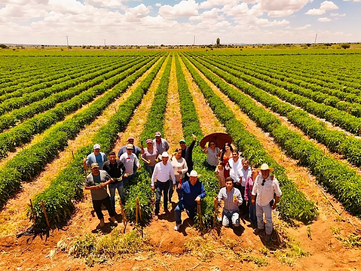 CONECTAN A PRODUCTORES DE CHILE DE GUADALUPE CON EMPRESAS