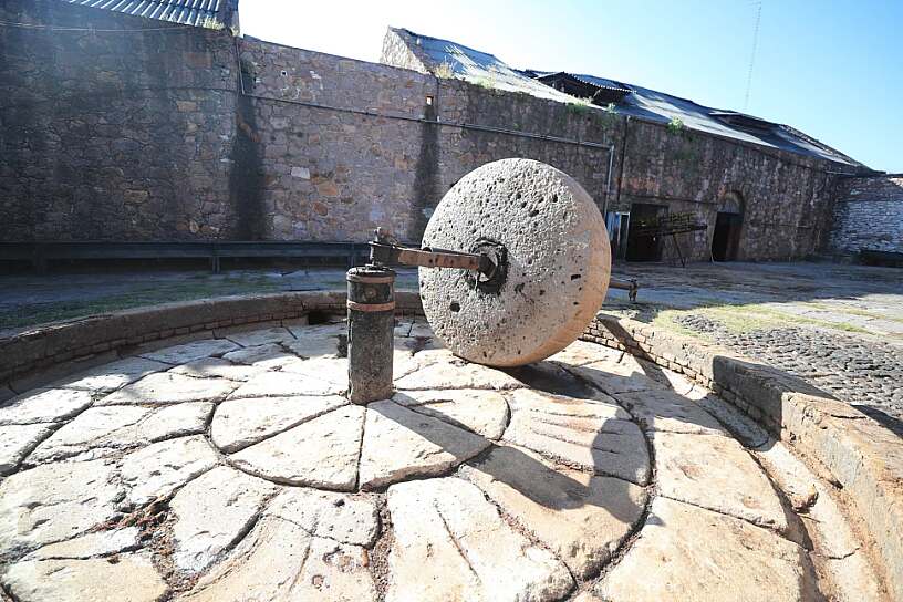 DESCUBRE PINOS, UN PUEBLO MÁGICO ENTRE MEZCAL, HISTORIA Y TRADICIÓN
