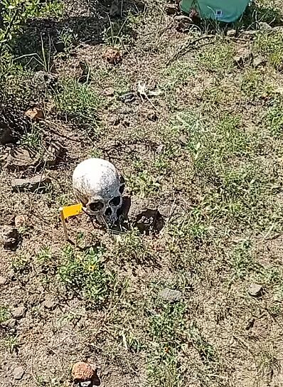 HALLAN MADRES BUSCADORAS RESTOS HUMANOS EN EL TULE, FRESNILLO