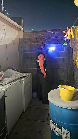INSPECCIONAN BRIGADAS VIVIENDAS POR PRESENCIA DE ALACRANES EN FRESNILLO