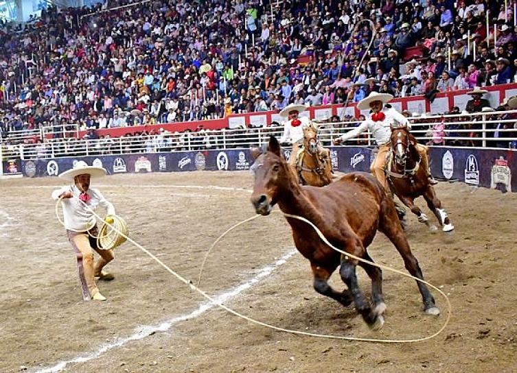 APOYARÁ FEDERACIÓN MEXICANA DE CHARRERÍA CON CABALLERIZAS SIN COSTO 