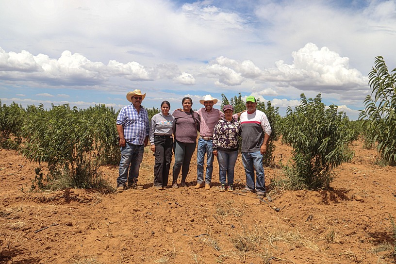 SUPERVISA PEPE SALDÍVAR USO DE TRACTORES CON PRODUCTORES DE FRANCISCO E. GARCÍA