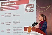 BENEFICIA AGRICULTURA A 13 MILLONES DE PRODUCTORES CON PROGRAMAS DEL BIENESTAR