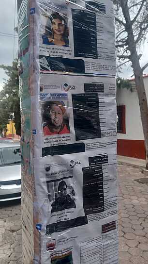 PEGAN AUTORIDADES Y COLECTIVOS 600 CÉDULAS DE BÚSQUEDA EN PINOS