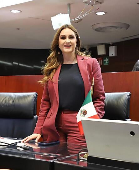 PROPONE GEOVANNA BAÑUELOS 30 AÑOS DE PRISIÓN POR ATAQUES EXPLOSIVOS   