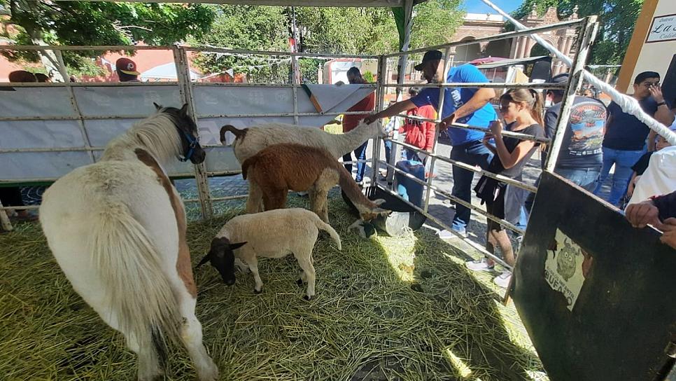 APRENDEN, JUEGAN Y SE DIVIERTEN EN EL DÍA DEL NIÑO