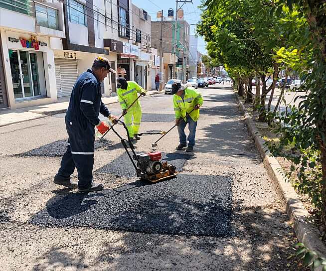INTENSIFICA GUADALUPE JORNADAS DE BACHEO