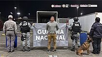 ASEGURAN CASI 250 KILOS DE DROGA EN ADUANA DE TIJUANA