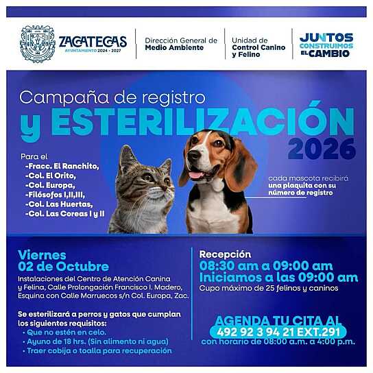 CONTINÚA AYUNTAMIENTO CAMPAÑA DE REGISTRO Y ESTERILIZACIÓN DE MASCOTAS
