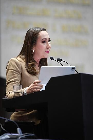 ADVIERTE NOEMÍ LUNA RIESGOS DE CENSURA POR REFORMA A DERECHOS DE AUTOR