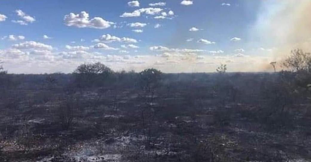 ARDE INCENDIO POR MÁS DE 48 HORAS EN VILLA DE COS; CONTINÚA ARRASANDO FLORA Y FAUNA A SU PASO 