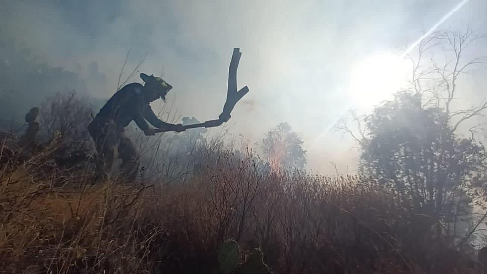 ARDE LA BUFA