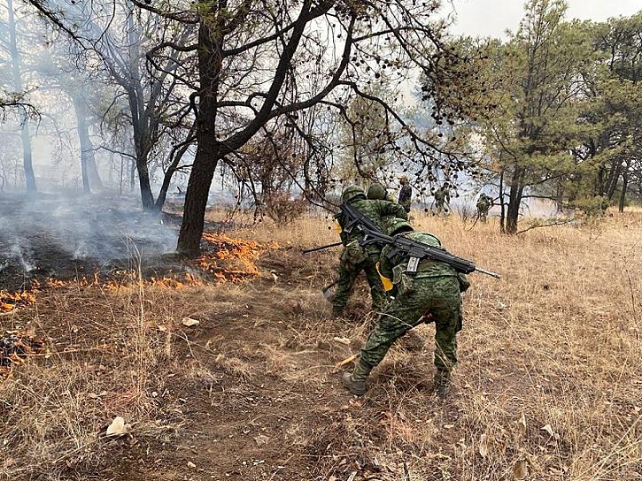 ARDE MONTE ESCOBEDO; INCENDIO FORESTAL AFECTA LA ZONA SERRANA 