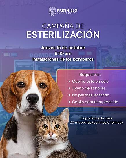 ANUNCIA AYUNTAMIENTO DE FRESNILLO CAMPAÑA DE ESTERILIZACIÓN PARA 20 MASCOTAS